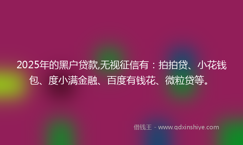 2025年的黑户贷款,无视征信有：拍拍贷、小花钱包、度小满金融、百度有钱花、微粒贷等。