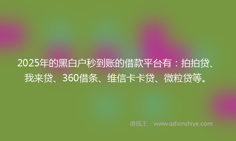 2025年的黑白户秒到账的借款平台有：拍拍贷、我来贷、360借条、维信卡卡贷、微粒贷等。