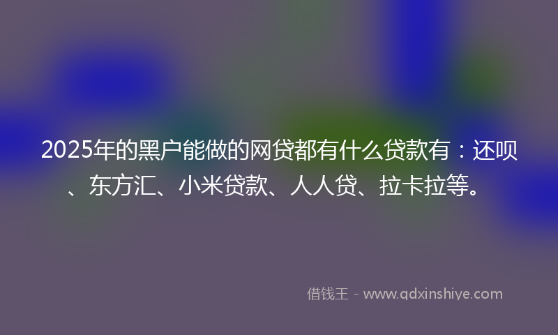2025年的黑户能做的网贷都有什么贷款有：还呗、东方汇、小米贷款、人人贷、拉卡拉等。