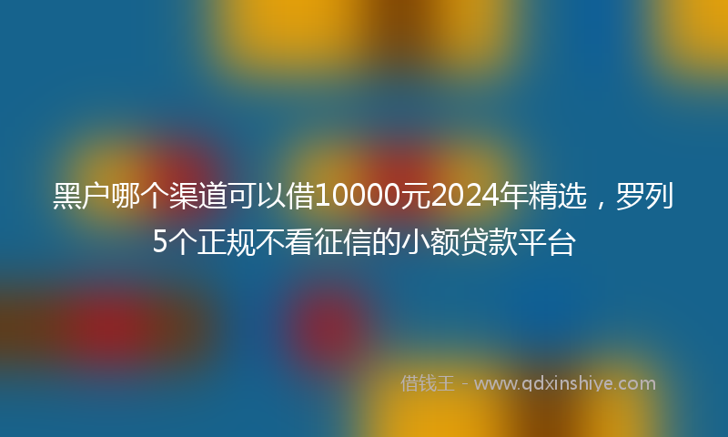 黑户哪个渠道可以借10000元2024年精选，罗列5个正规不看征信的小额贷款平台
