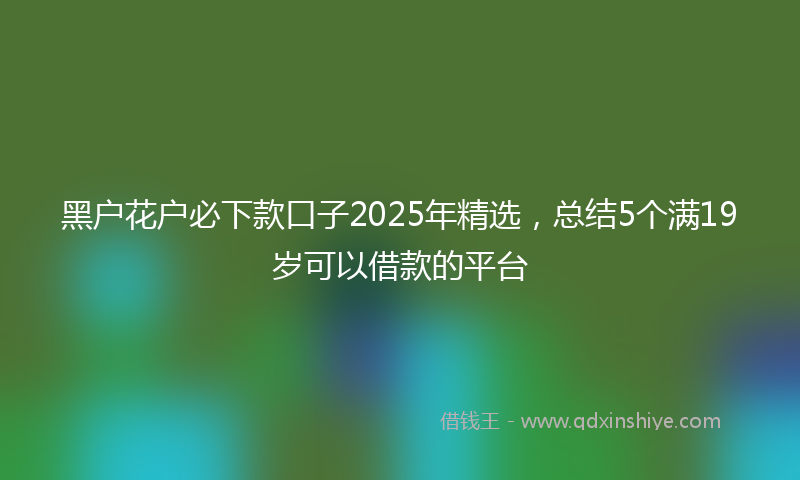 黑户花户必下款口子2025年精选，总结5个满19岁可以借款的平台