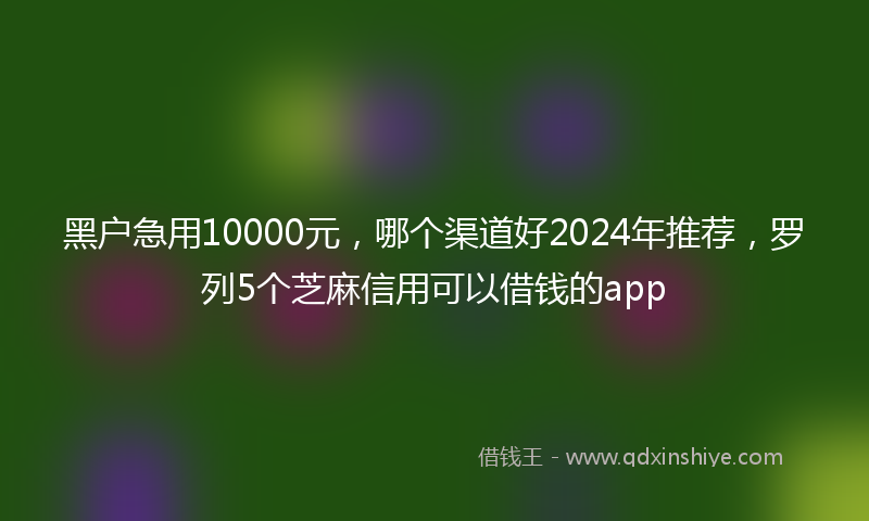 黑户急用10000元，哪个渠道好2024年推荐，罗列5个芝麻信用可以借钱的app