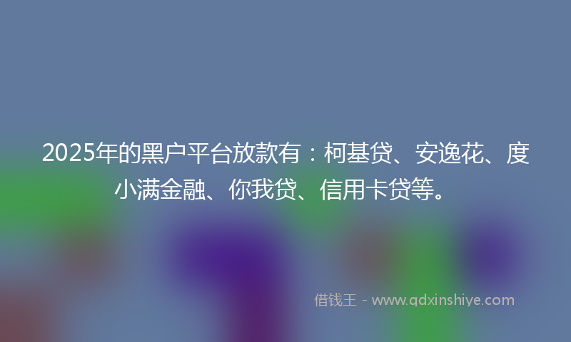 2025年的黑户平台放款有：柯基贷、安逸花、度小满金融、你我贷、信用卡贷等。