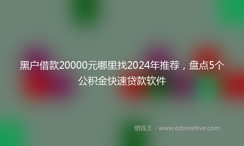 黑户借款20000元哪里找2024年推荐，盘点5个公积金快速贷款软件