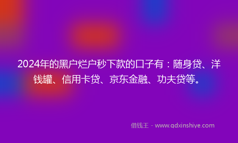 2024年的黑户烂户秒下款的口子有：随身贷、洋钱罐、信用卡贷、京东金融、功夫贷等。