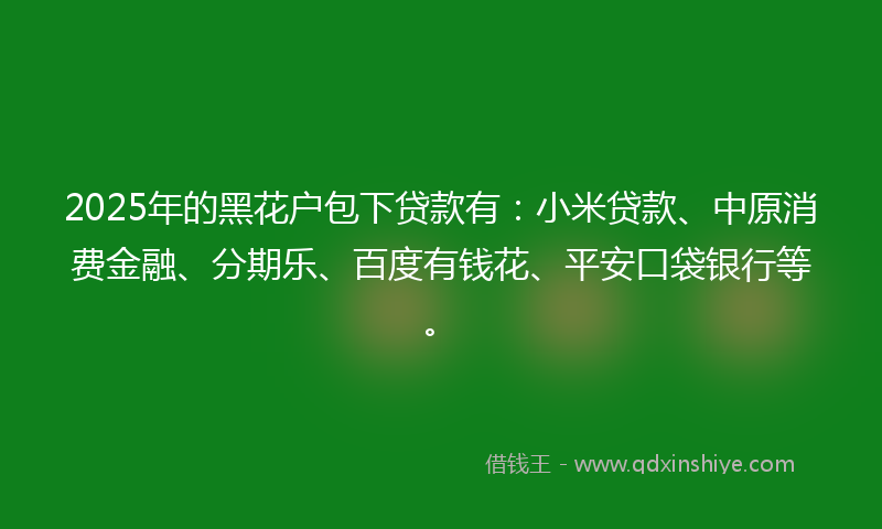 2025年的黑花户包下贷款有：小米贷款、中原消费金融、分期乐、百度有钱花、平安口袋银行等。