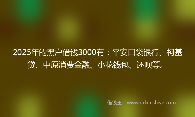 2025年的黑户借钱3000有：平安口袋银行、柯基贷、中原消费金融、小花钱包、还呗等。