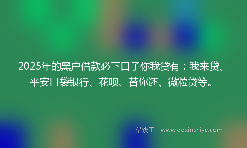 2025年的黑户借款必下口子你我贷有：我来贷、平安口袋银行、花呗、替你还、微粒贷等。
