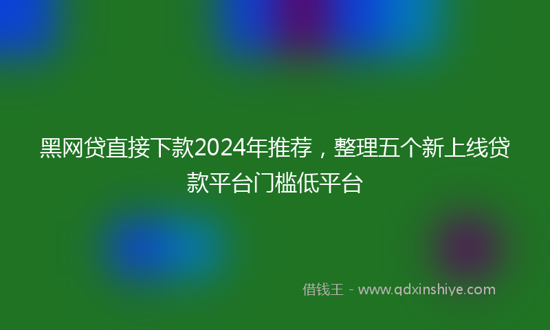 黑网贷直接下款2024年推荐，整理五个新上线贷款平台门槛低平台