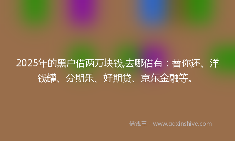2025年的黑户借两万块钱,去哪借有：替你还、洋钱罐、分期乐、好期贷、京东金融等。