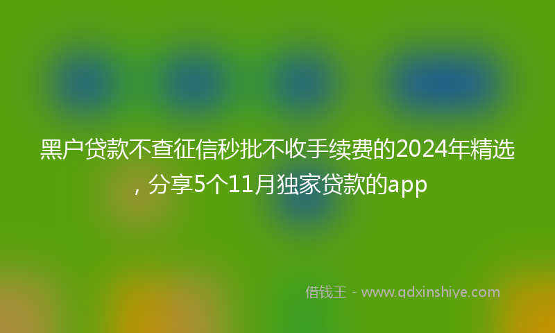 黑户贷款不查征信秒批不收手续费的2024年精选，分享5个11月独家贷款的app