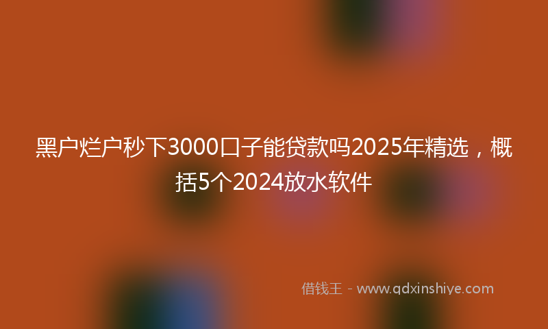 黑户烂户秒下3000口子能贷款吗2025年精选，概括5个2024放水软件