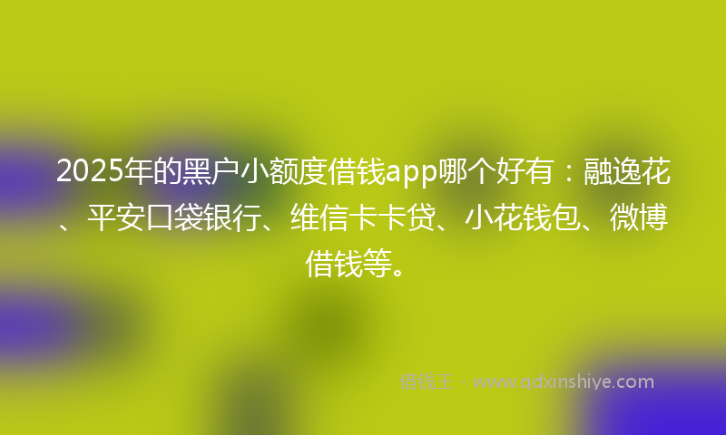 2025年的黑户小额度借钱app哪个好有：融逸花、平安口袋银行、维信卡卡贷、小花钱包、微博借钱等。