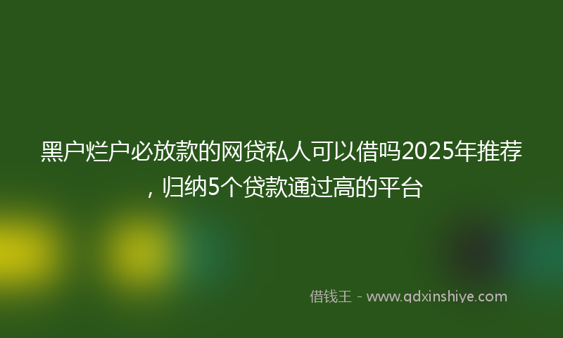 黑户烂户必放款的网贷私人可以借吗2025年推荐，归纳5个贷款通过高的平台