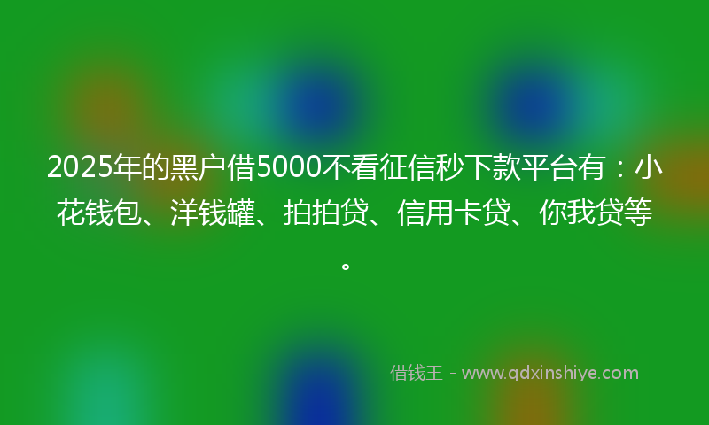2025年的黑户借5000不看征信秒下款平台有：小花钱包、洋钱罐、拍拍贷、信用卡贷、你我贷等。