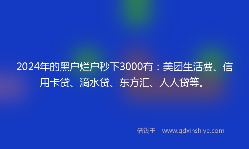 2024年的黑户烂户秒下3000有：美团生活费、信用卡贷、滴水贷、东方汇、人人贷等。