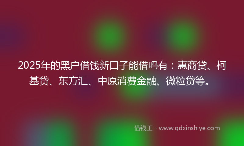 2025年的黑户借钱新口子能借吗有：惠商贷、柯基贷、东方汇、中原消费金融、微粒贷等。