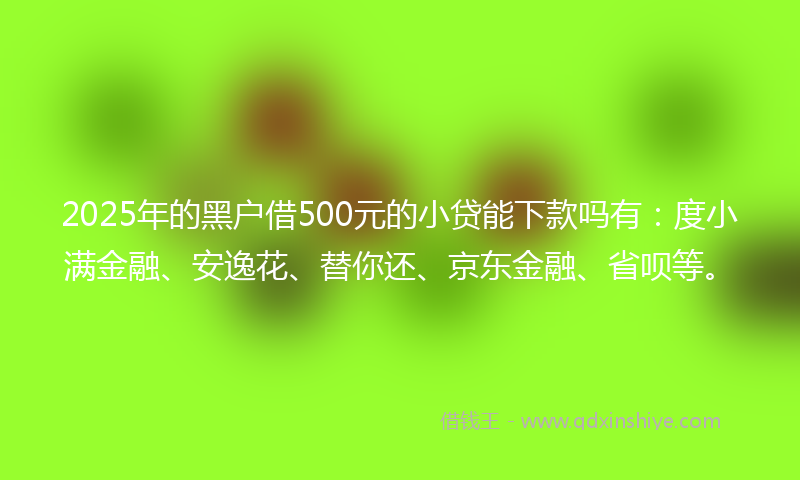 2025年的黑户借500元的小贷能下款吗有：度小满金融、安逸花、替你还、京东金融、省呗等。