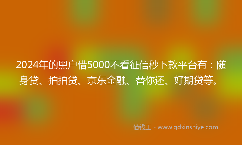 2024年的黑户借5000不看征信秒下款平台有：随身贷、拍拍贷、京东金融、替你还、好期贷等。