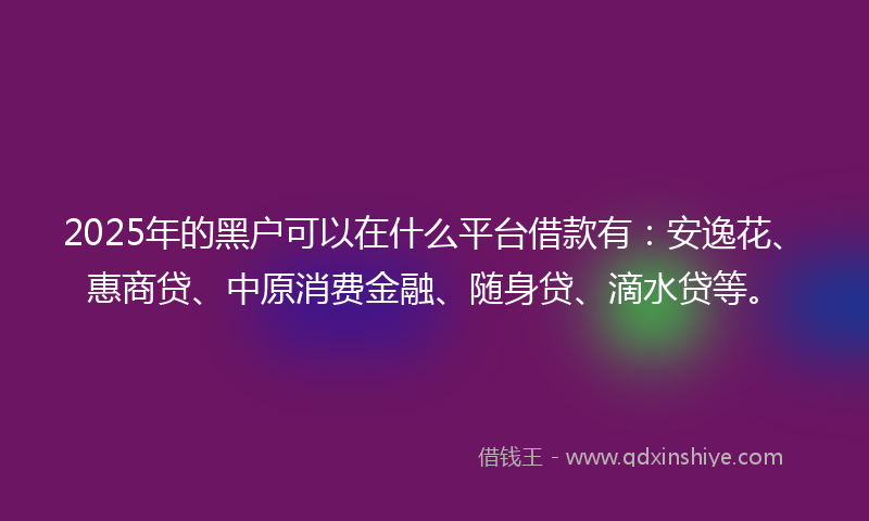 2025年的黑户可以在什么平台借款有：安逸花、惠商贷、中原消费金融、随身贷、滴水贷等。