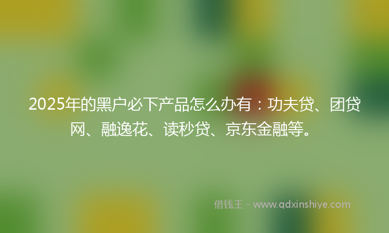 2025年的黑户必下产品怎么办有：功夫贷、团贷网、融逸花、读秒贷、京东金融等。
