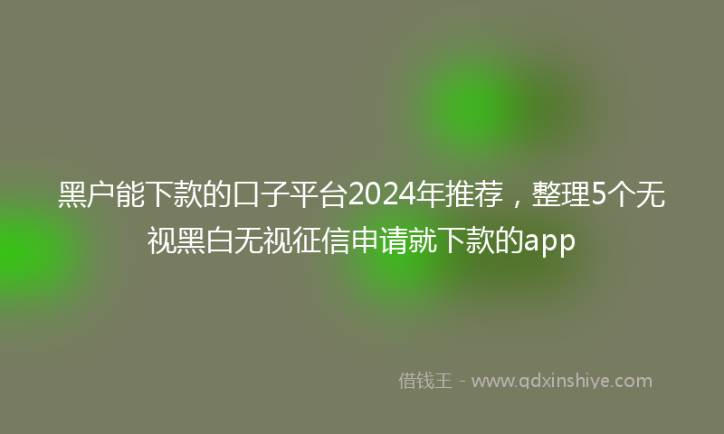 黑户能下款的口子平台2024年推荐，整理5个无视黑白无视征信申请就下款的app