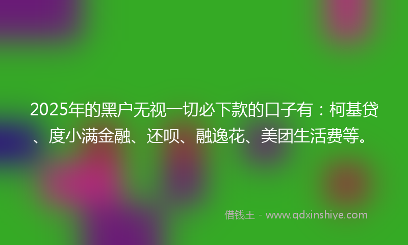 2025年的黑户无视一切必下款的口子有：柯基贷、度小满金融、还呗、融逸花、美团生活费等。
