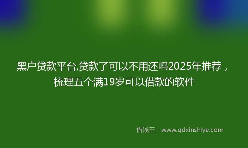 黑户贷款平台,贷款了可以不用还吗2025年推荐，梳理五个满19岁可以借款的软件