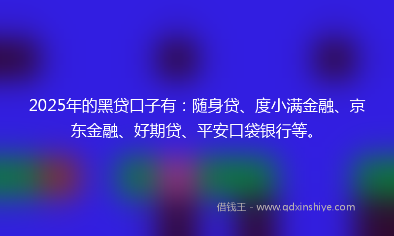 2025年的黑贷口子有：随身贷、度小满金融、京东金融、好期贷、平安口袋银行等。