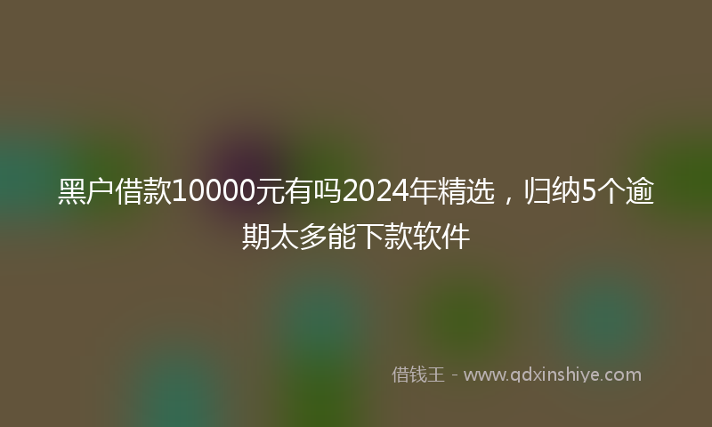 黑户借款10000元有吗2024年精选，归纳5个逾期太多能下款软件