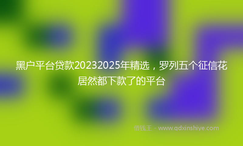 黑户平台贷款20232025年精选，罗列五个征信花居然都下款了的平台