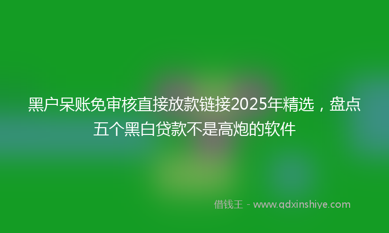 黑户呆账免审核直接放款链接2025年精选，盘点五个黑白贷款不是高炮的软件