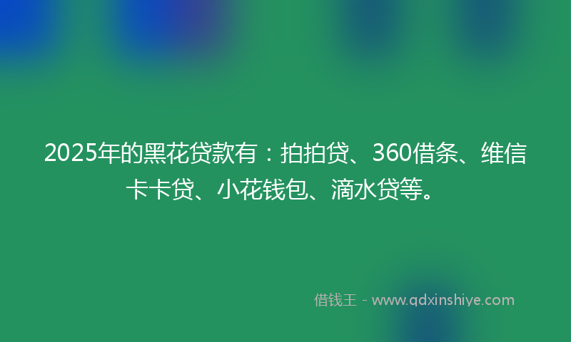 2025年的黑花贷款有：拍拍贷、360借条、维信卡卡贷、小花钱包、滴水贷等。