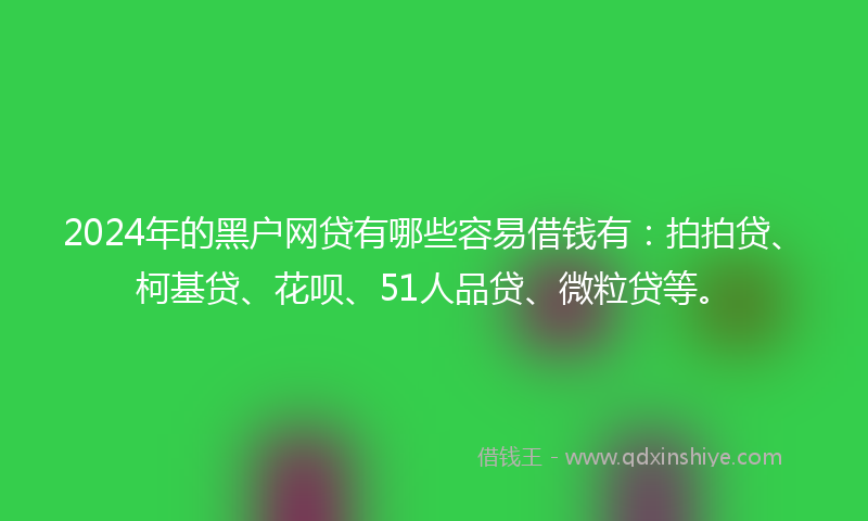2024年的黑户网贷有哪些容易借钱有：拍拍贷、柯基贷、花呗、51人品贷、微粒贷等。