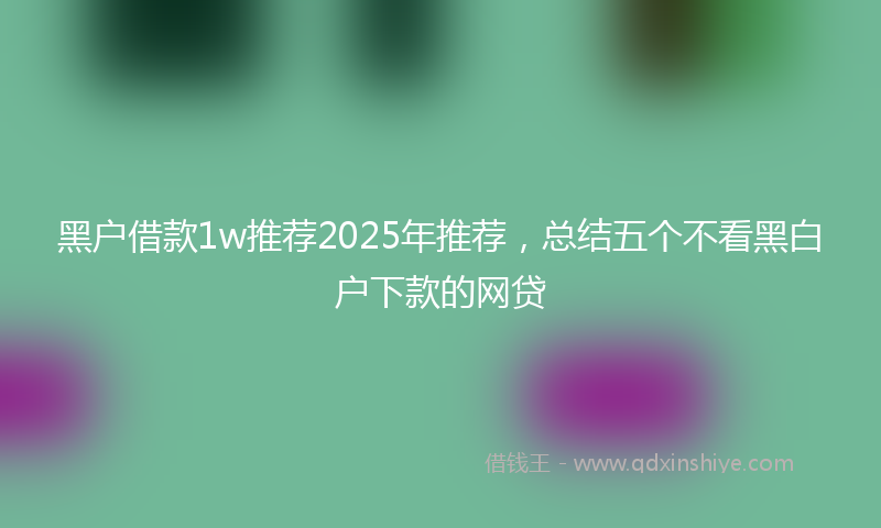 黑户借款1w推荐2025年推荐，总结五个不看黑白户下款的网贷