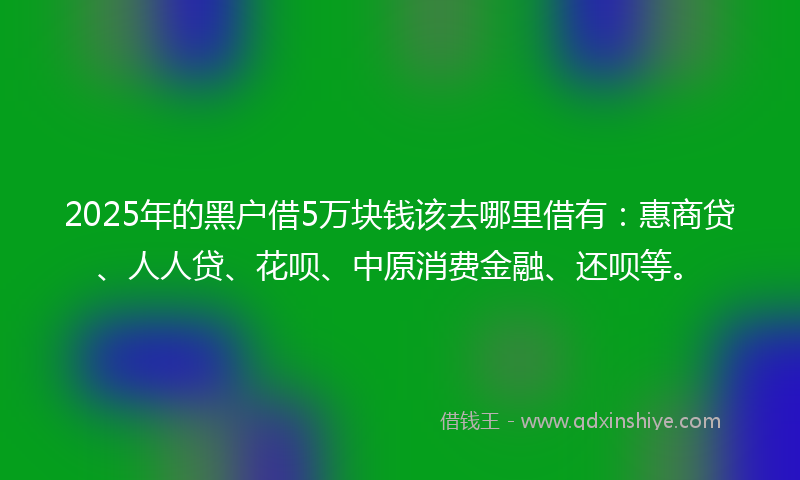 2025年的黑户借5万块钱该去哪里借有：惠商贷、人人贷、花呗、中原消费金融、还呗等。