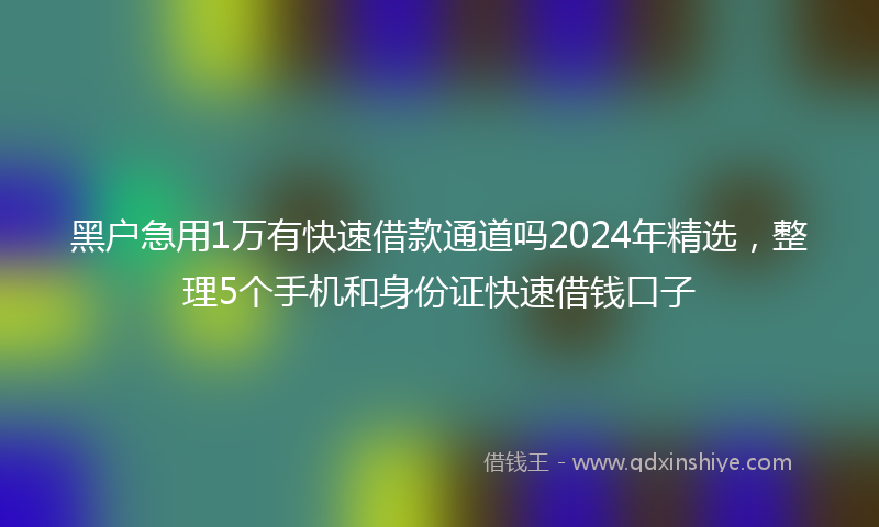 黑户急用1万有快速借款通道吗2024年精选，整理5个手机和身份证快速借钱口子
