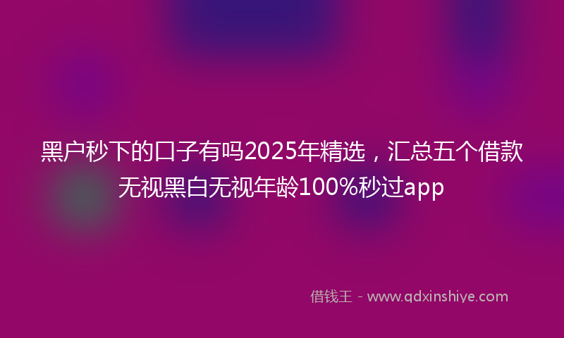 黑户秒下的口子有吗2025年精选，汇总五个借款无视黑白无视年龄100%秒过app