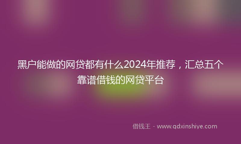 黑户能做的网贷都有什么2024年推荐，汇总五个靠谱借钱的网贷平台