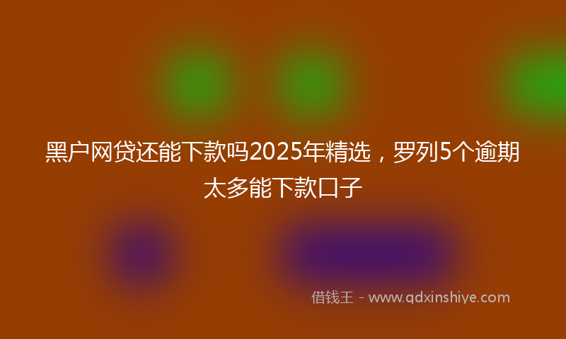 黑户网贷还能下款吗2025年精选，罗列5个逾期太多能下款口子