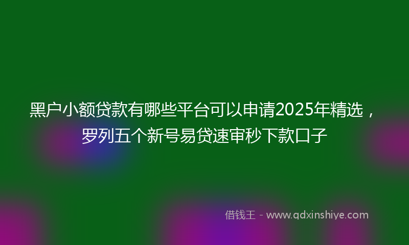 黑户小额贷款有哪些平台可以申请2025年精选，罗列五个新号易贷速审秒下款口子