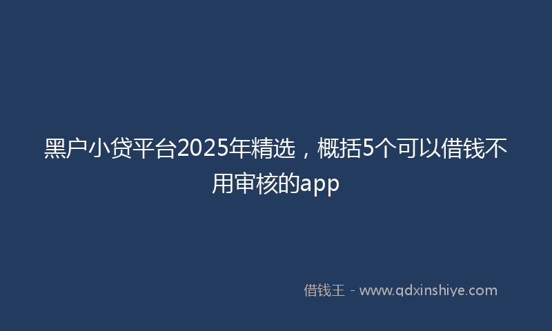 黑户小贷平台2025年精选，概括5个可以借钱不用审核的app