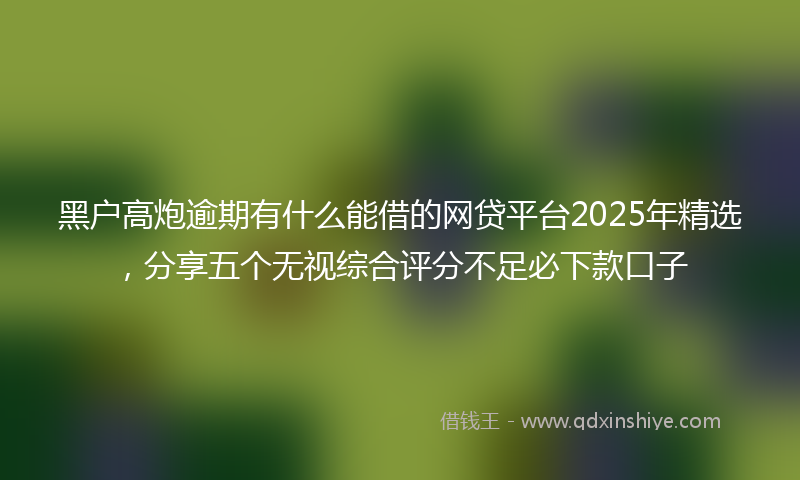 黑户高炮逾期有什么能借的网贷平台2025年精选，分享五个无视综合评分不足必下款口子