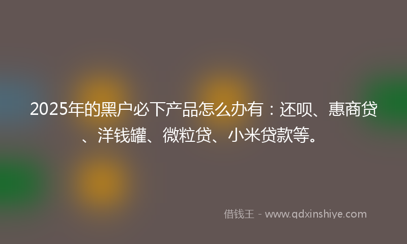 2025年的黑户必下产品怎么办有：还呗、惠商贷、洋钱罐、微粒贷、小米贷款等。