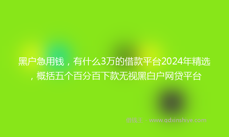 黑户急用钱，有什么3万的借款平台2024年精选，概括五个百分百下款无视黑白户网贷平台