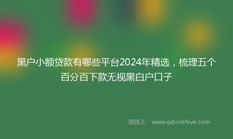 黑户小额贷款有哪些平台2024年精选，梳理五个百分百下款无视黑白户口子