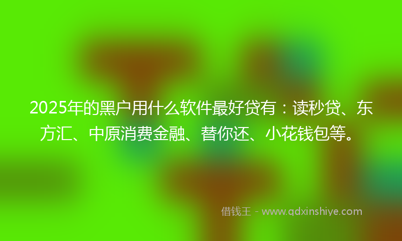 2025年的黑户用什么软件最好贷有：读秒贷、东方汇、中原消费金融、替你还、小花钱包等。