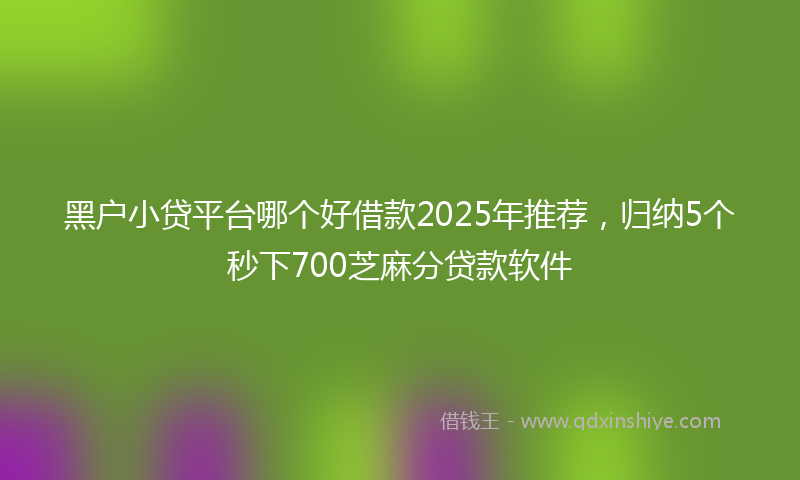 黑户小贷平台哪个好借款2025年推荐，归纳5个秒下700芝麻分贷款软件