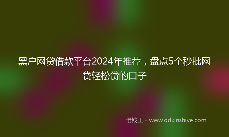 黑户网贷借款平台2024年推荐，盘点5个秒批网贷轻松贷的口子