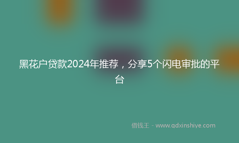 黑花户贷款2024年推荐，分享5个闪电审批的平台
